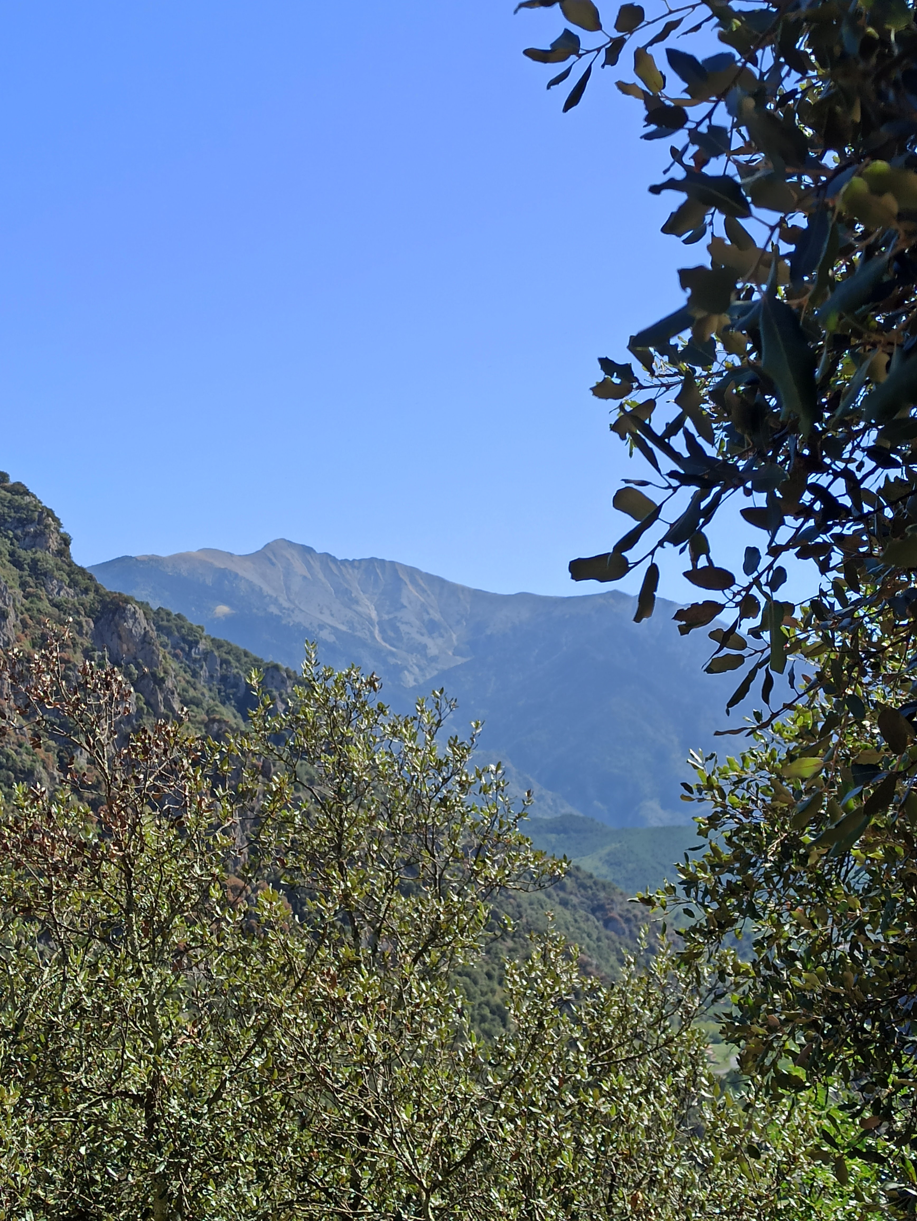 Photo n° 5 de l'avis de Didier.O fait le 02/10/2023 à 08:26