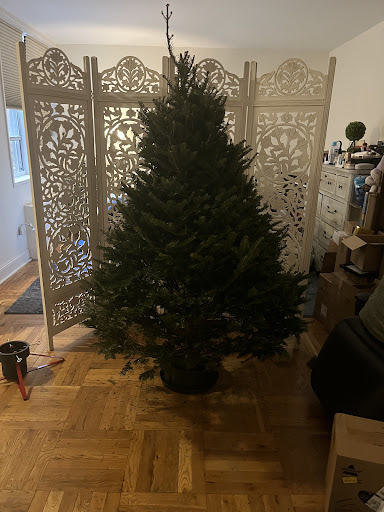 Christmas Tree Brooklyn image 4