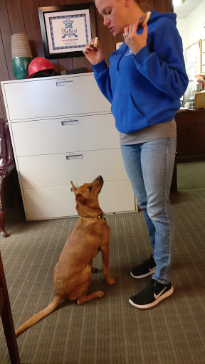 Moving Company «My Guys Moving & Storage Richmond», reviews and photos, 401 Dabbs House Rd, Richmond, VA 23223, USA