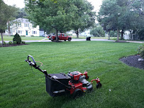 Arctic Lawn and Leaf