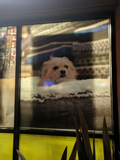 Pet Supply Store «Pet Food Express», reviews and photos, 1902 S Bascom Ave, Campbell, CA 95008, USA