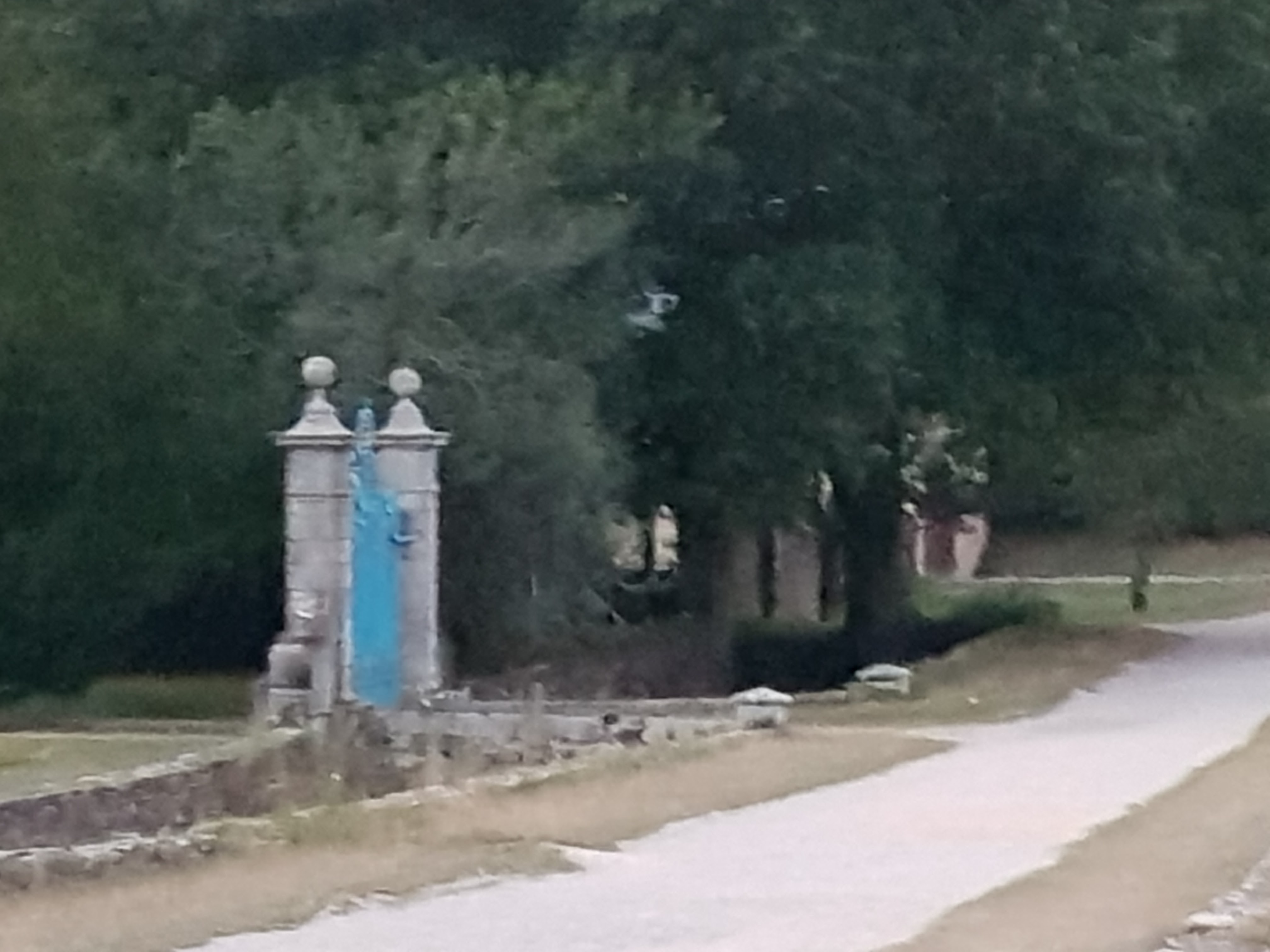 Photo n° 15 de l'avis de Stella.O fait le 13/08/2017 à 18:56