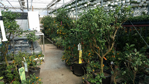 Garden Center «Blooms at Belle Mead», reviews and photos, 1980 US-206, Belle Mead, NJ 08502, USA