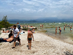 Jamaica Beach'in fotoğrafı çok temiz temizlik seviyesi ile