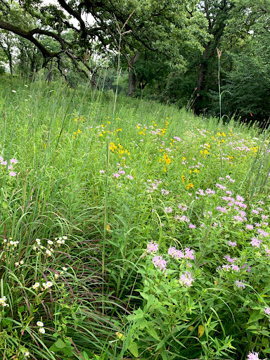 Learning Center «Sagawau Environmental Learning Center», reviews and photos, 12545 111th St, Lemont, IL 60439, USA