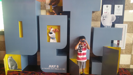 Movie Theater «Cinemark Theatres», reviews and photos, 21600 W Field Pkwy, Deer Park, IL 60010, USA