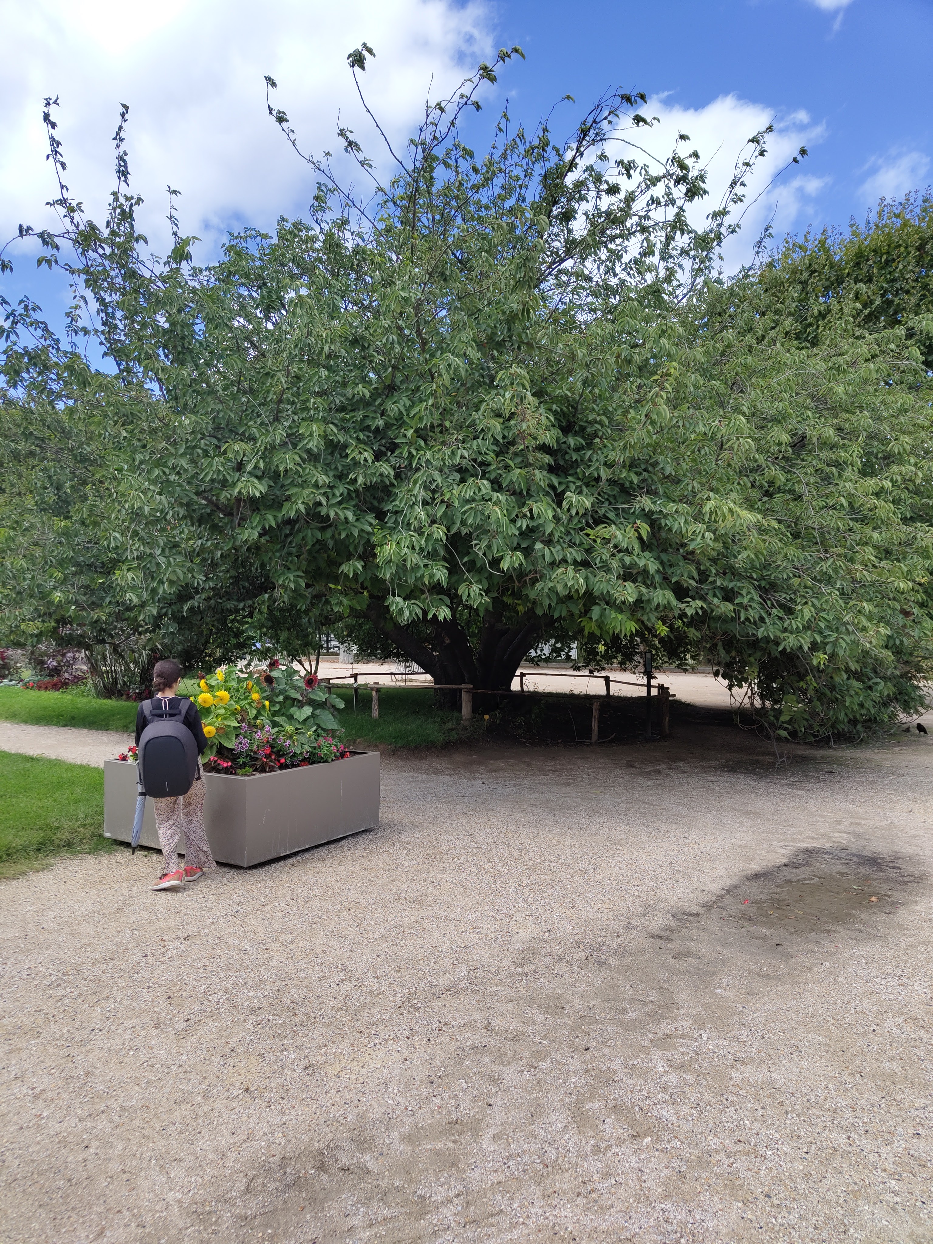Photo n° 40 de l'avis de JACKY.M fait le 10/08/2023 à 13:09