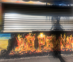 Tacos La Palma photo