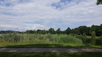 Photos of Campingplatz Linz am- Pichlingersee
