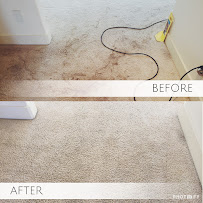 Rogers Carpet Cleaning