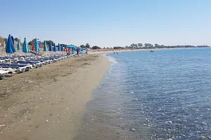 Mazotos Beach image