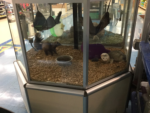 Pet Supply Store «Pet Supplies Plus», reviews and photos, 220 Market Dr, Elyria, OH 44035, USA