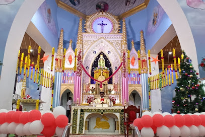 Immaculate Conception Church - Amalinagar