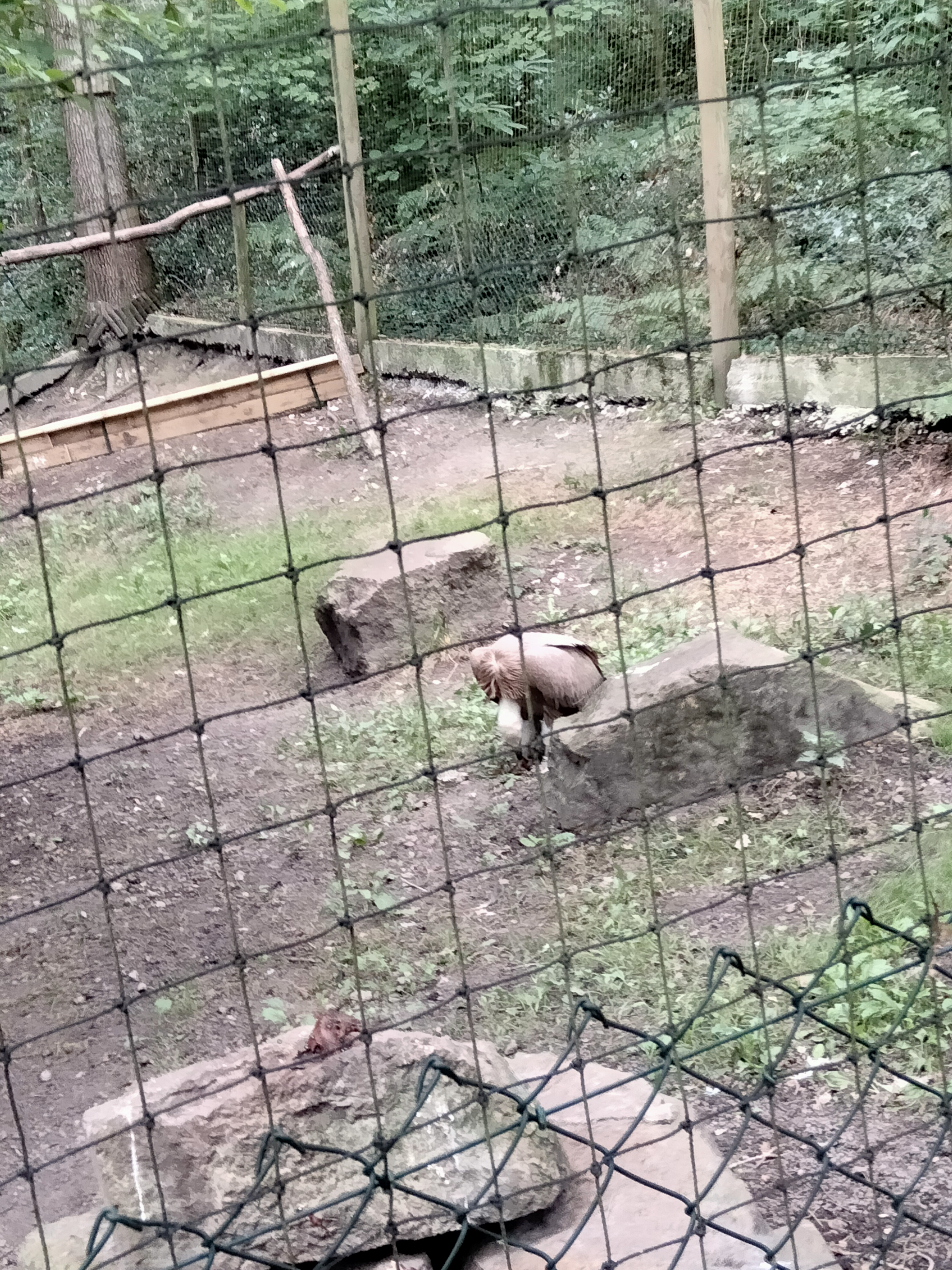 Photo n° 7 de l'avis de Jeremy-Claire.I fait le 29/08/2023 à 20:17