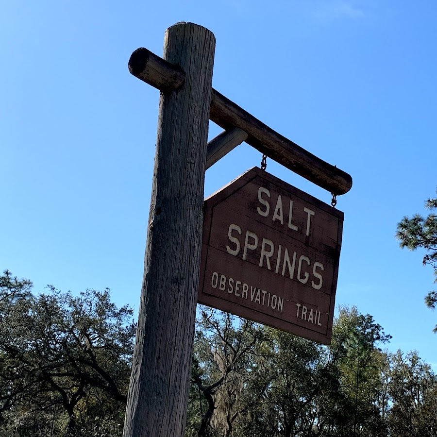 Salt Springs Observation Trail