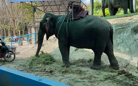 Prayai Changthai Elephant Camp image