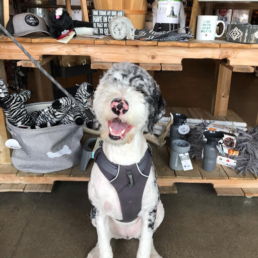 Pet Store «Shop Dog Boutique», reviews and photos, 5015 S Western Ave, Sioux Falls, SD 57108, USA