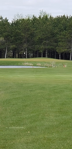 Golf Course «Thumper Pond Golf Course», reviews and photos, 300 Thumper Lodge Rd, Ottertail, MN 56571, USA