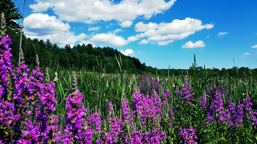 Golf Course «Kingston Fairways Golf Club», reviews and photos, 65 Depot Rd, Kingston, NH 03848, USA