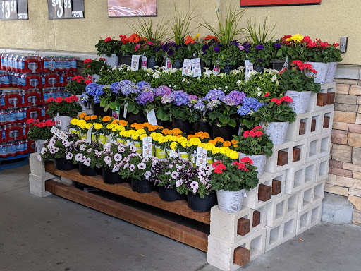 Supermarket «Walmart Neighborhood Market», reviews and photos, 512 N Ventu Park Rd, Thousand Oaks, CA 91320, USA