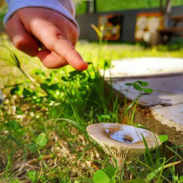 Ant Çocuk Akademi Adana Anaokulu ve Kreş logo