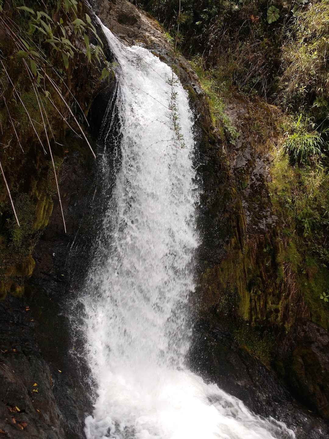Parque Natural el Encanto