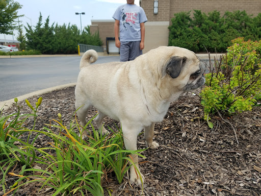 Pet Supply Store «PetSmart», reviews and photos, 21430 Wolf Rd, Mokena, IL 60448, USA