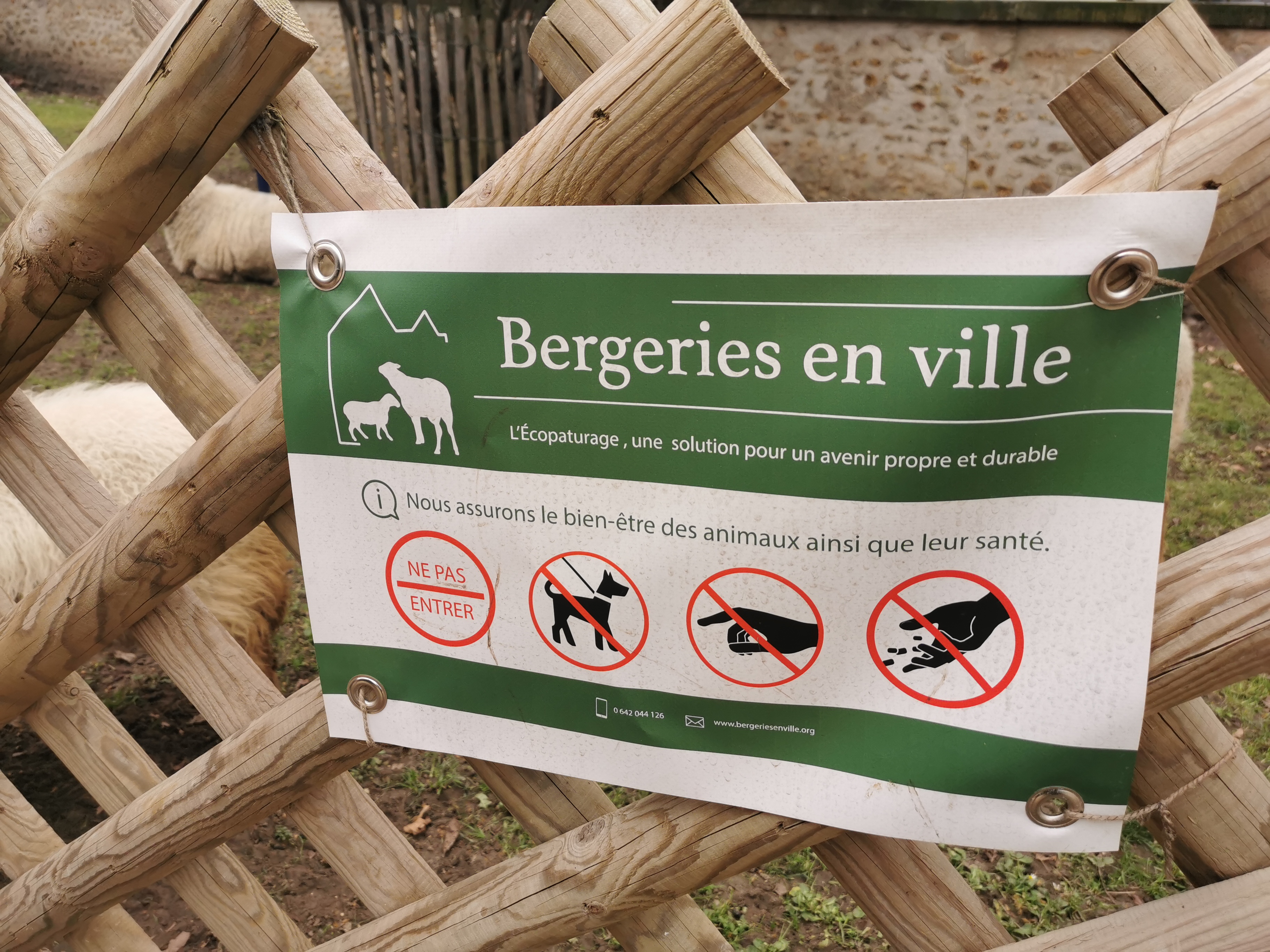 Photo n° 6 de l'avis de Bouteleux.e fait le 22/02/2021 à 12:25