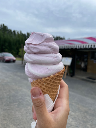 Reviews of Keri Berries Farm Store in Kerikeri - Ice cream