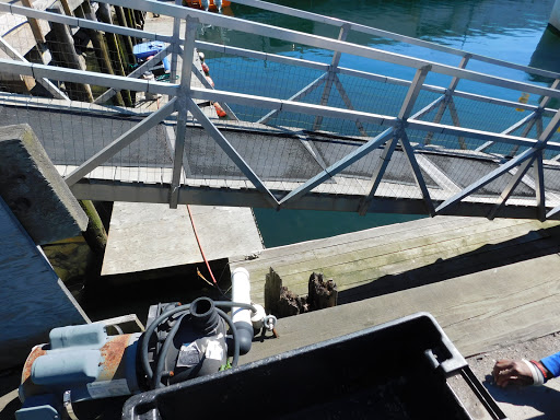 Cruise Agency «Capt. Bill & Sons Whale Watch», reviews and photos, 24 Harbor Loop, Gloucester, MA 01930, USA