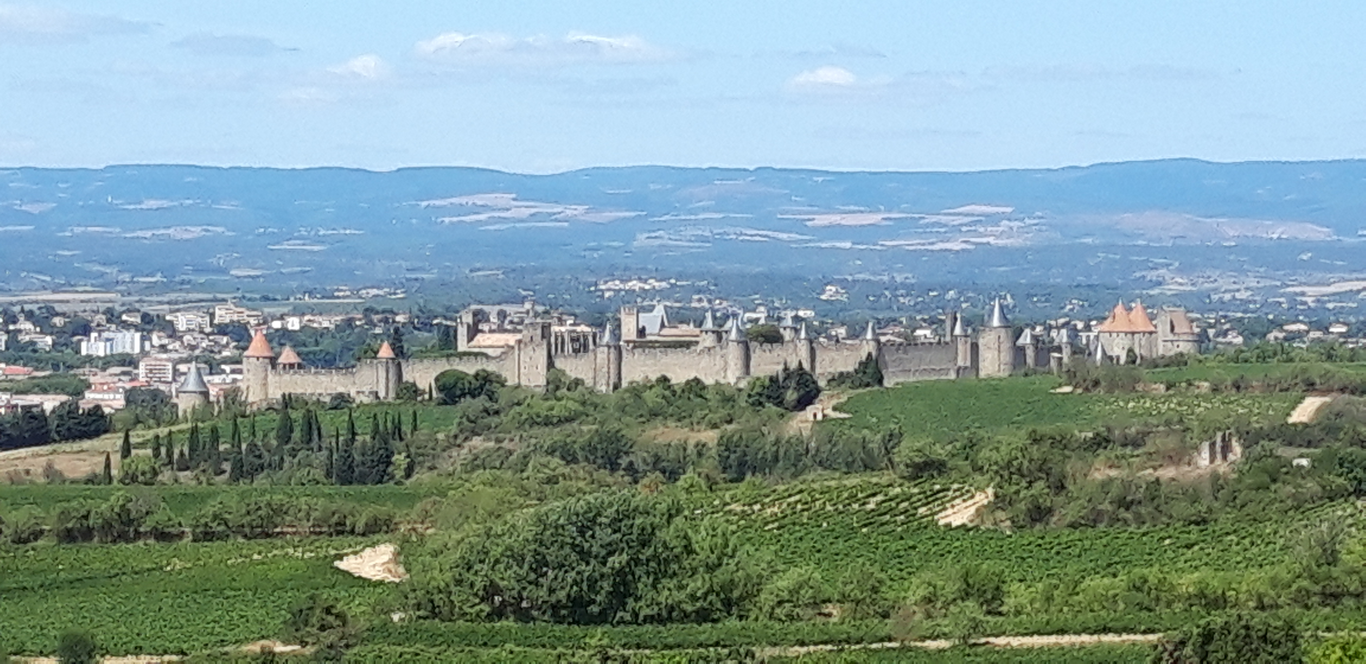 Photo n° 1 de l'avis de Pierre.e fait le 21/08/2019 à 05:41