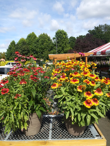 Produce Market «Tacoma Boys», reviews and photos, 5602 6th Ave, Tacoma, WA 98406, USA