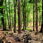 Photo n°3 de l'avis de Shosanna.. fait le 28/08/2021 à 22:23 sur le  Barfußpark Lüneburger Heide in Egestorf à Egestorf