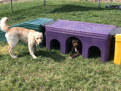 4 Paws Tree House Boarding and Daycare