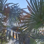 Photo n°6 de l'avis de Christian.e fait le 12/01/2024 à 09:37 sur le  Domäne Walberberg à Bornheim