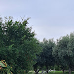 Photo n°1 de l'avis de piero.a fait le 19/08/2022 à 15:07 sur le  Masseria Don Luigi à Fasano