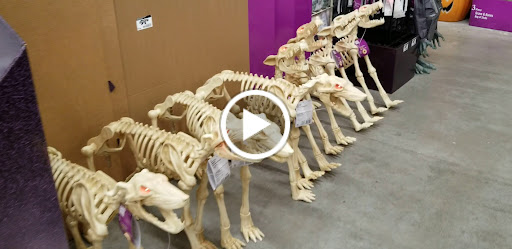 Home Improvement Store «The Home Depot», reviews and photos, 1670 W Orange Blossom Trail, Apopka, FL 32712, USA