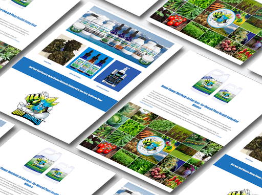 Live Web Design image