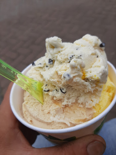 Beoordelingen van Alpaca Mountain / De IJspoort in Maastricht - IJssalon