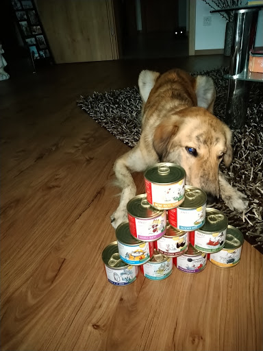 Anifit Hunde- und Katzenfutter J. Weitz unter Eurasburg, 