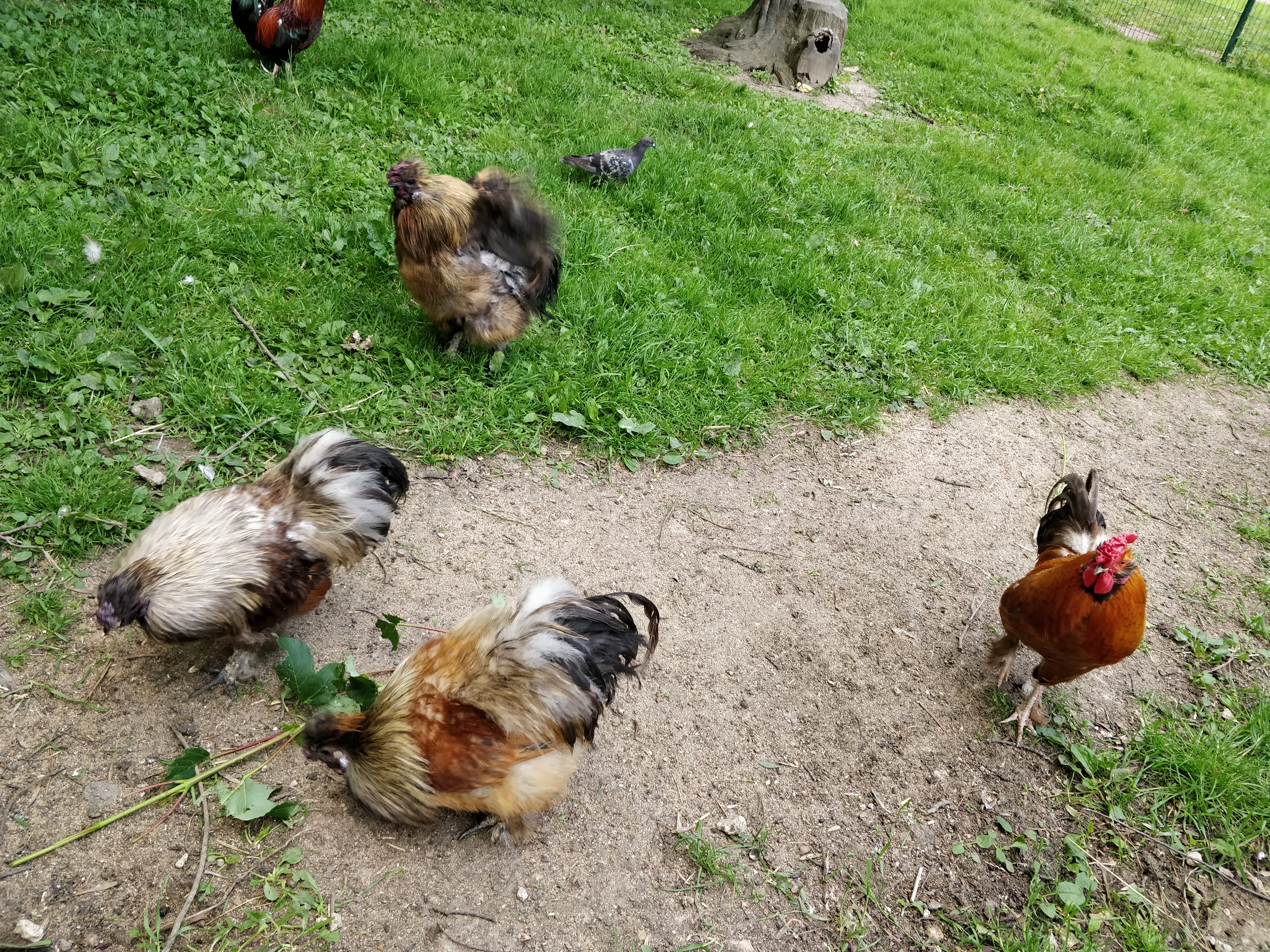 Photo n° 7 de l'avis de Be.a fait le 29/06/2019 à 08:30