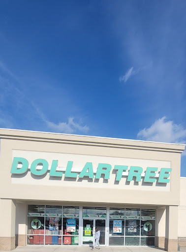 Dollar Store «Dollar Tree», reviews and photos, 1523 E Main St A, Waynesboro, PA 17268, USA