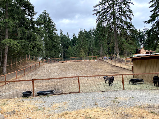 Zoo «Jozee Rooz Indoor Petting Zoo», reviews and photos, 120 138th St S, Tacoma, WA 98444, USA