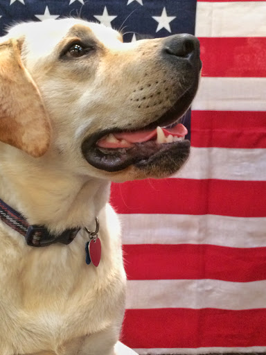 Jeweler «Shearer the Jeweler», reviews and photos, 22 N Washington St, Easton, MD 21601, USA