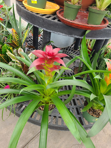 Hardware Store «Ace Hdwe Highlands Ranch», reviews and photos, 9579 S University Blvd Ste 100, Highlands Ranch, CO 80126, USA