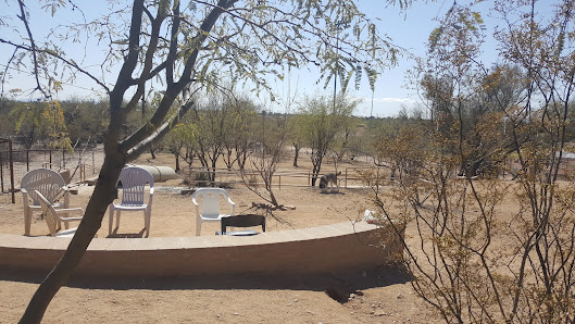 Photo 4 de Smiling Dog Ranch Dog Park from Beach