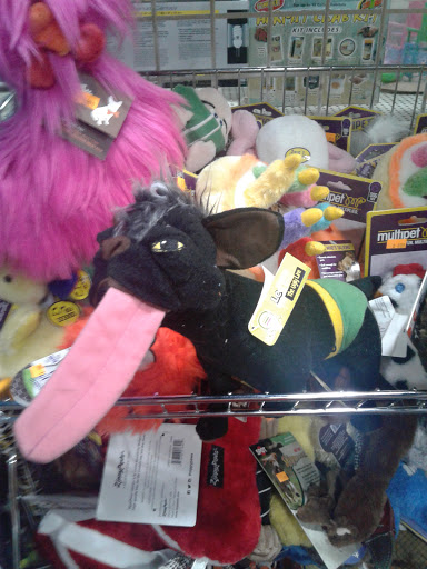 Pet Store «Pet Paradise Grooming», reviews and photos, 1115 Pueblo Blvd Way, Pueblo, CO 81005, USA