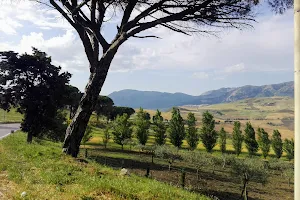 Geological Reserve Contrada Scaleri image