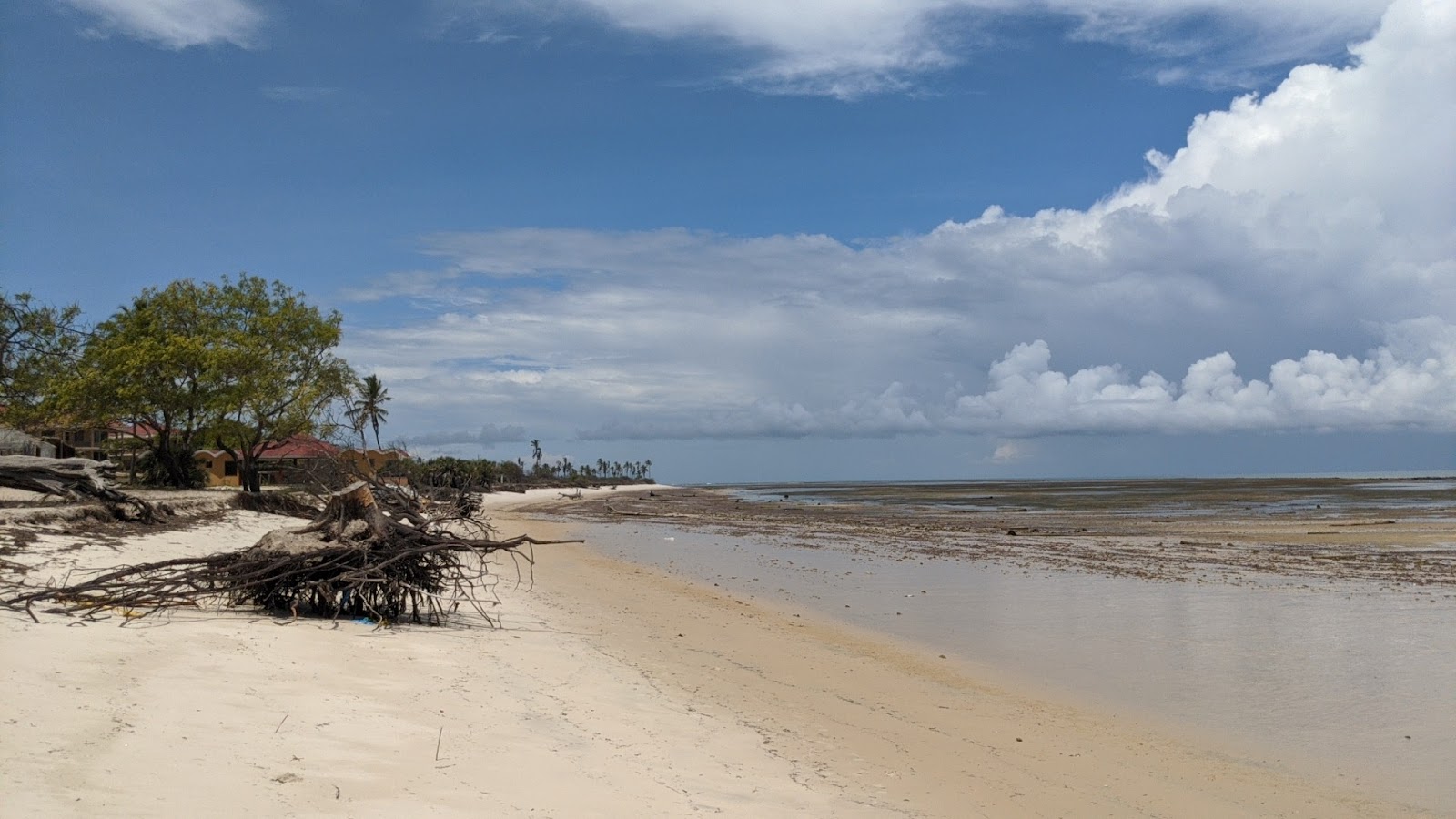 Foto de Ndege Beach con parcialmente limpio nivel de limpieza