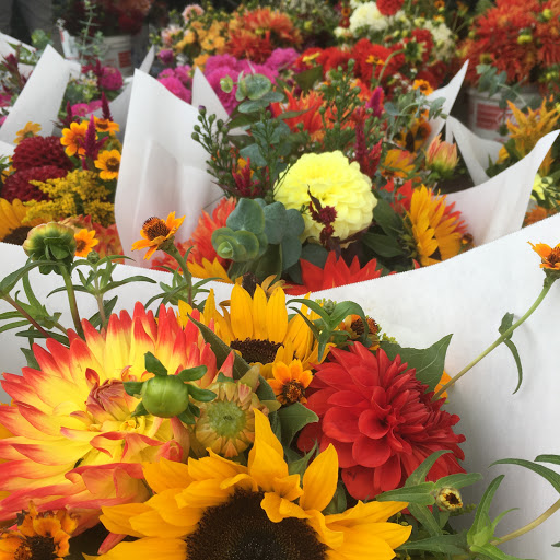 Tourist Attraction «Shoreline Farmers Market», reviews and photos, 15300 Westminster Way N, Shoreline, WA 98133, USA